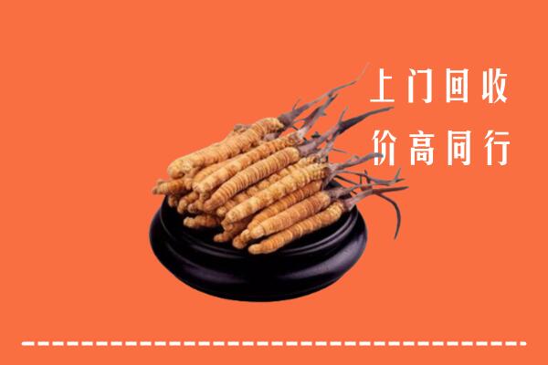 高价求购：北京丰台区回收散虫草