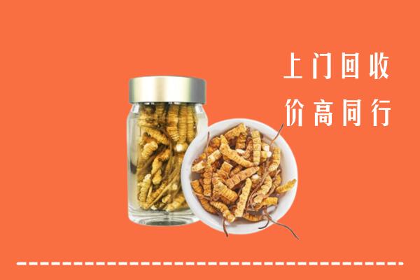 北京丰台区回收冬虫夏草